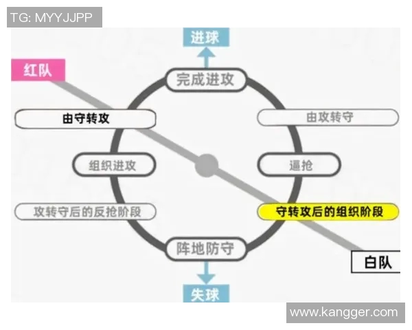运动最新数据深入分析南京排球队防守策略与战术特点的专业解读